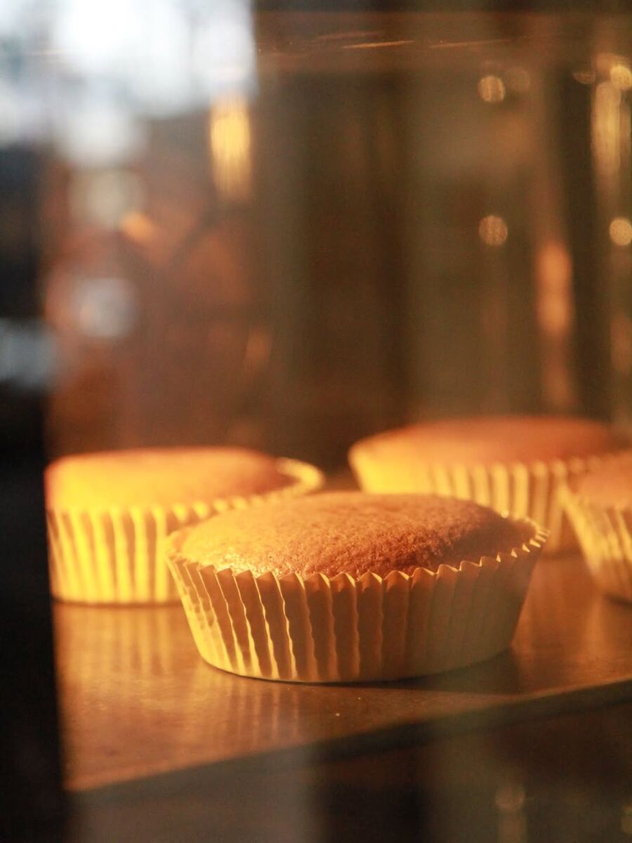 타이키 시그니처 카스테라